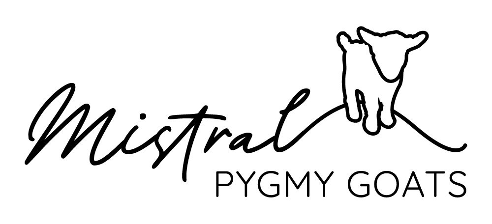 Mistral Pygmy Goats Logo